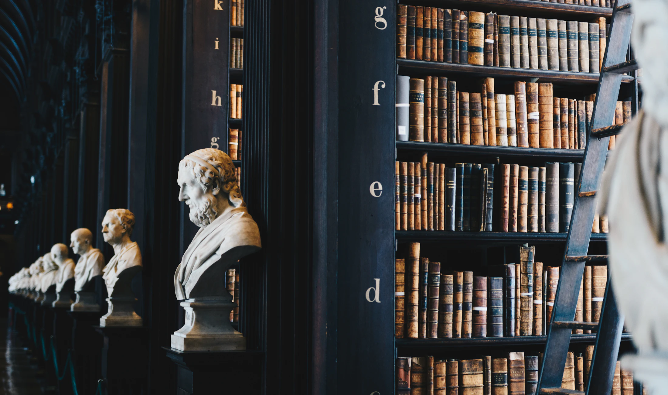 A law library with leather-bound books and marble busts